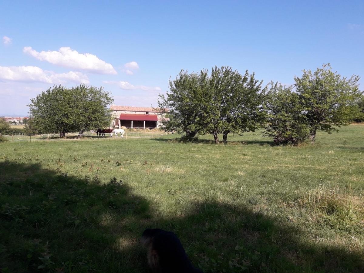 Saint-Jeure-d'Ay Ferme De La Combe B&B 외부 사진