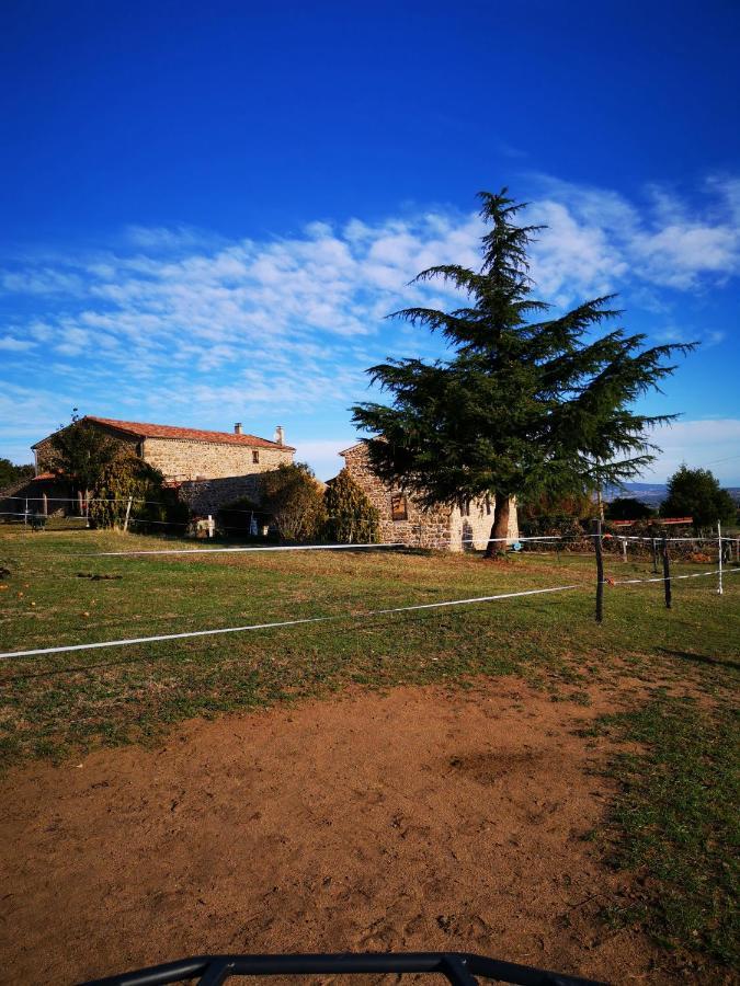 Saint-Jeure-d'Ay Ferme De La Combe B&B 외부 사진