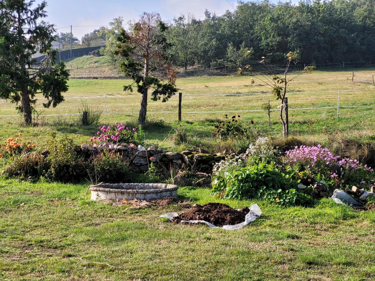 Saint-Jeure-d'Ay Ferme De La Combe B&B 외부 사진