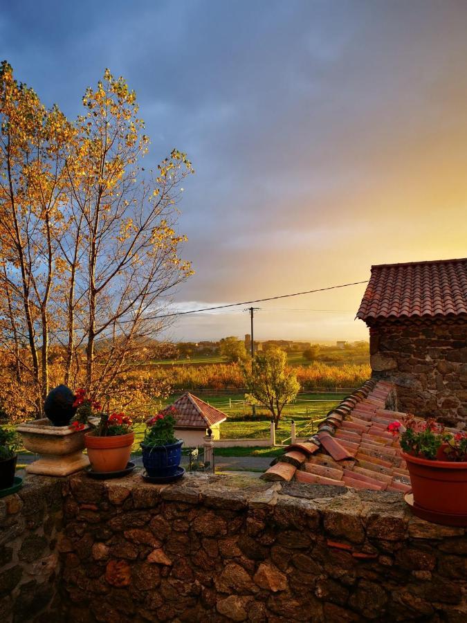 Saint-Jeure-d'Ay Ferme De La Combe B&B 외부 사진