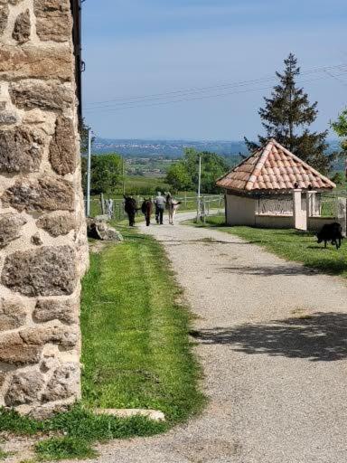 Saint-Jeure-d'Ay Ferme De La Combe B&B 외부 사진